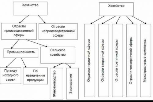 Какая из них отражает более точно хозяйства и почему? ​