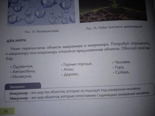 Ниже перечисленные объекты макромира и микромира. Попробуй определить к макромира или микромиру отно