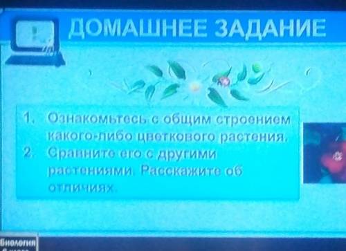 1.Ознакомьтесь с общим строением какого-либо цветкового растения 2.Сравните его с другим растениями