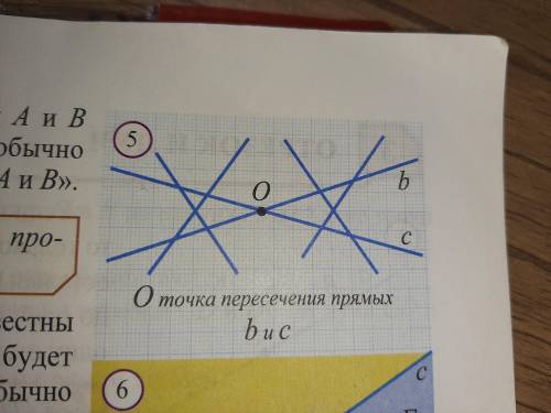 мозги не работают не могу понять Сколько прямых изображено на рисунке 5?