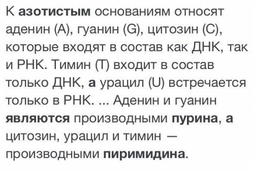 Какие азотистые основания являются пуриновыми,а какие пиримидиновыми?​