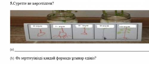 6 сынып Жаратылыстану БЖБ 5-тапсырма.5.а)суретте не көрсетілген?5.b)Өз зерттеуіңізді қандай формада