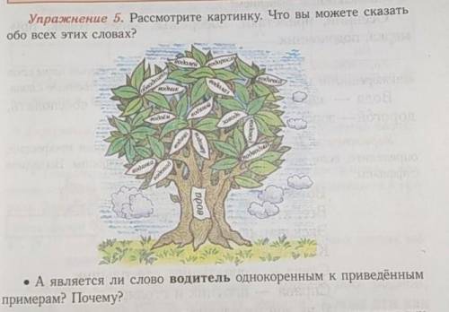 Уранение 5. Рассмотрите картинку. Что вы можете сказать Hными, например.обо всех этих словах?• А явл