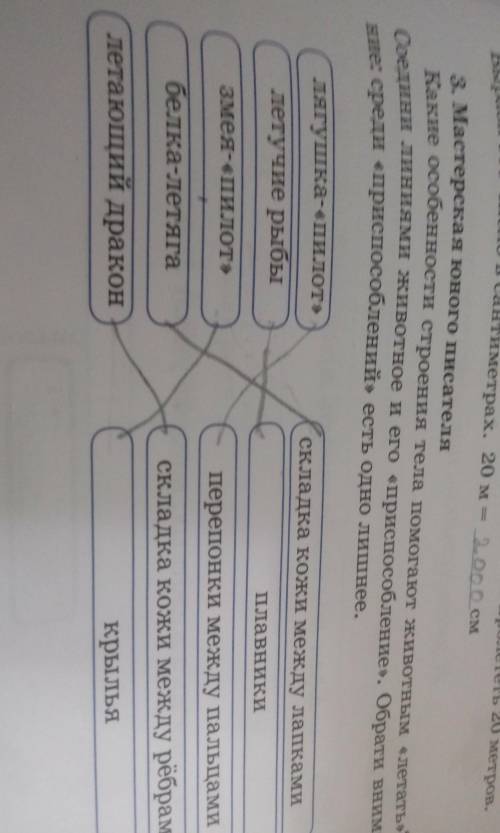 To titсло в сантиметрах, 20 м смBемли3. Мастерская юного писателяКакие особенности строения тела жив