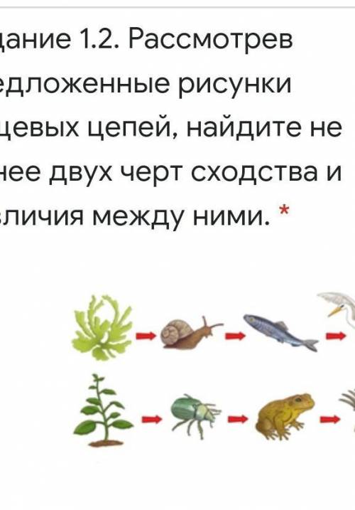 Предоложенные рисунки найдите не мение двух черт сходства и различия между ними​