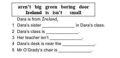 DARA'S SCHOOL My name's Dara, and I'm twelve. My family and I live on a small island in Ireland. The