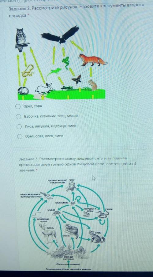 Задание 3. Рассмотрите схему пищевой сети и выпишитепредставителей только одной пищевой цепи, состоя