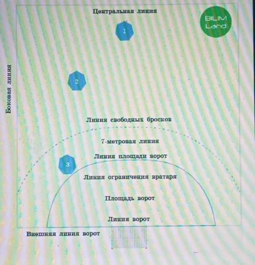 Определи какой позиции (амплуа) нет в игре? Центральная линияBILIMLondБоковая линияЛиния свободных б