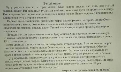 3.Составь план данного текста. План: текст Белый марал до