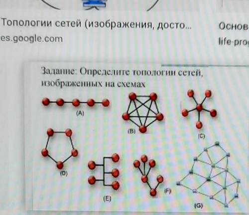 Определите виды топологических сетей ​