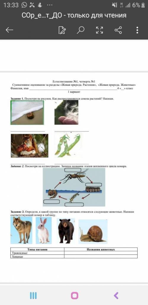 Сор 1 по естествознанию 4 класс 1 четверть