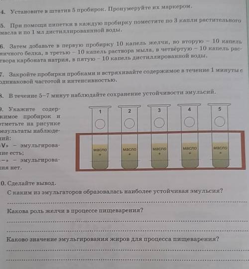 Лабораторную работу только нормально ​