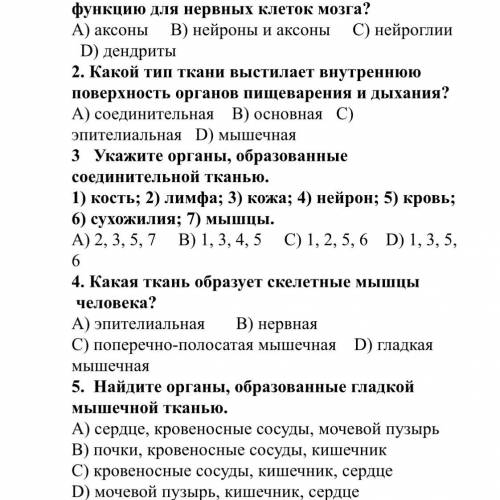 Маленький тест по биологии Какие клетки выполняют питательную функцию для нервных клеток мозга ?