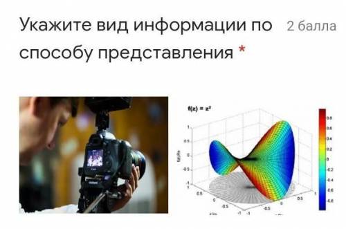 ОООЧЕНЬ выбрать из примеров:Видео информацияТекстоваяЗрительная Графическая(вторая картинка график)​