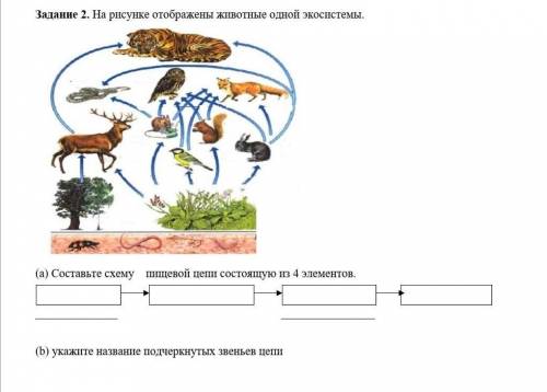 Составьте схему пищевой цепи состоящую из 4 элементов укажите название подчеркнутых звеньев птиц сей