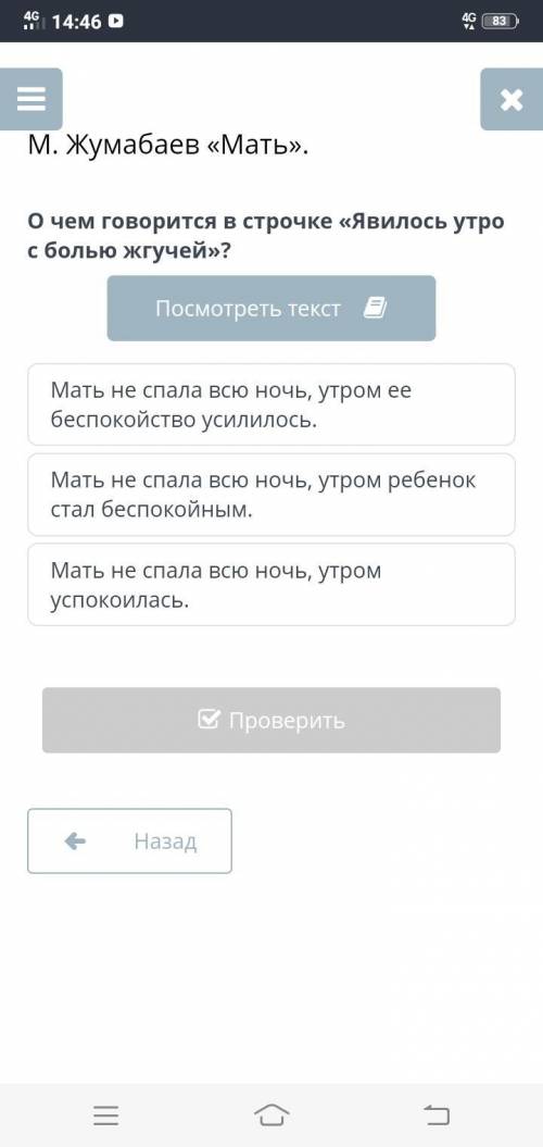 О чем говорится в строчке «Явилось утро с болью жгучей»?