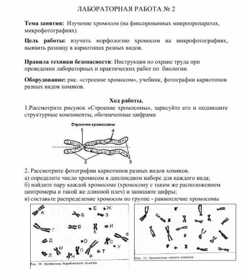 решить Лабу 1 я уже сделал мне осталось 2 и