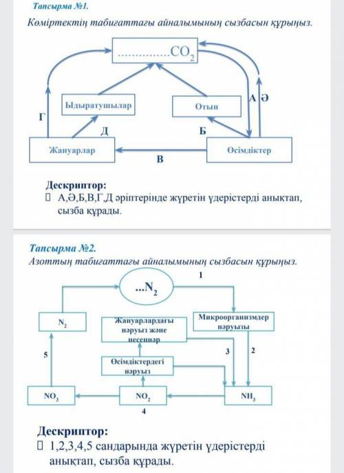 Азот пен көміртек айналымы