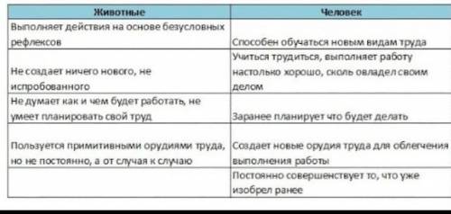 Чем отличается человек от животного? Особенности подросткового возраста?