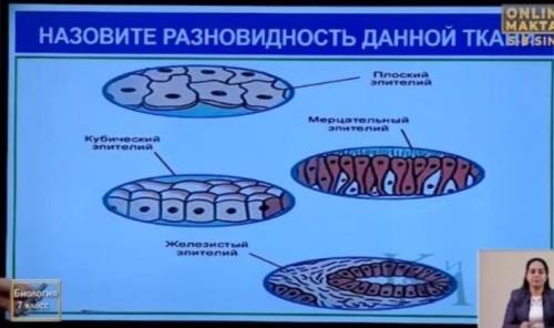 Назовите разновидность данной ткани если не правильно то бан​