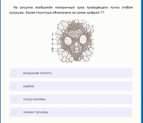 Доброго дня. Кто может с тестом по биологии?