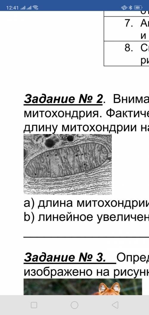 Внимательно рассмотрите рисунок. На рисунке изображена митохондрия. Фактическая длина митохондрии 10