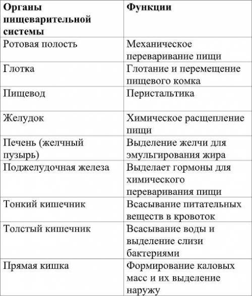 1. Опишите строение зубов: 2.Используя изображение пищеварительной системы человека назовите: (а) о