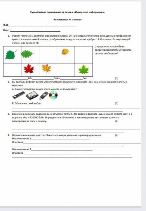 Решите ссор по информатике.​