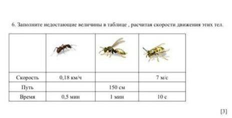 Заполните недастоющие велечины в таблице ,расчитая скорости движения этих тел​