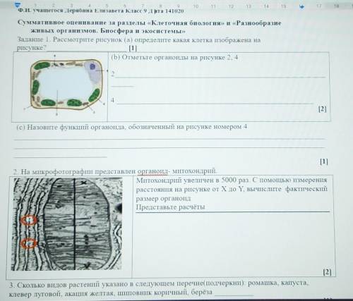 Задание 1. Рассмотрите рисунок (а) определите какая клетка изображена нарисунке?[1](b) Отметьте орга