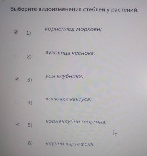 Выберите видоизменения стеблей у расьений​