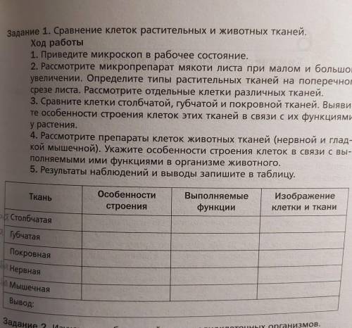 Лабораторная работа номер 1 по биологии ​