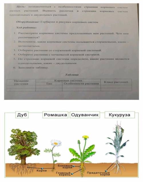 Сделать нужно только таблицу