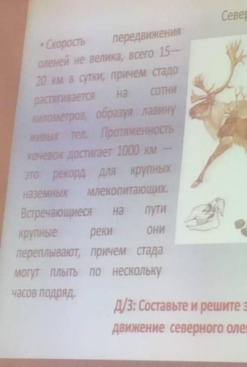 1)Составьте и решите задачу про гепарда 7 класс физика примерно2)Составьте и решите задачу про оленя