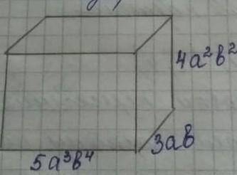 Составьте выражение для нахождения объёма параллелепипеда ответ запишите в стандартном виде​