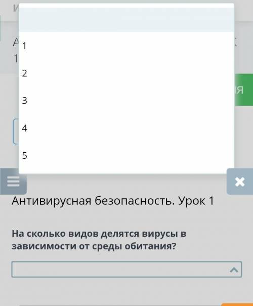 На сколько видов делятся вирусы в зависимости от среды обитания? ​