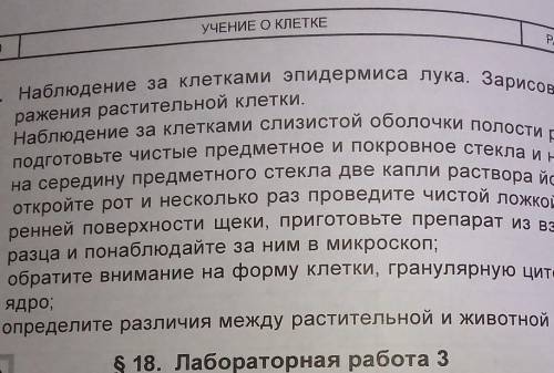 Лабораторная работа 9 класса изучение растительных и животных клеток с микроскопа​