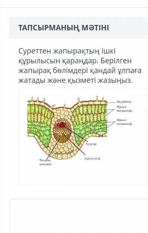 Биология өтініш өтініш өтініш​