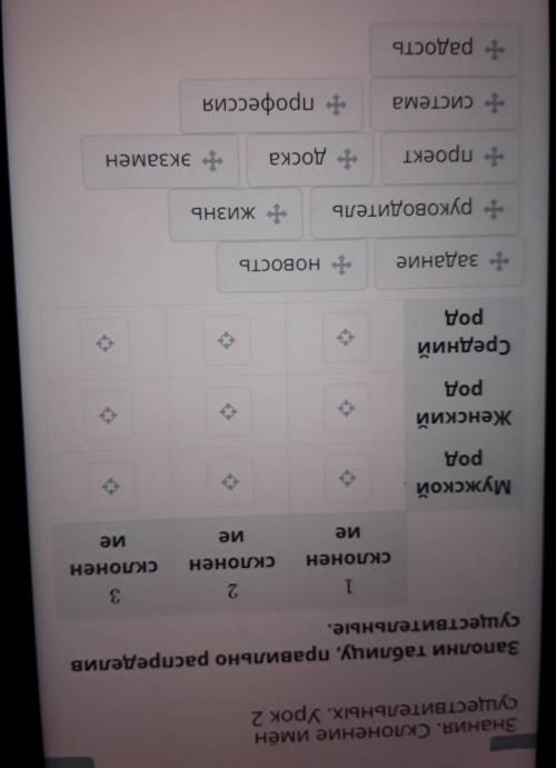заполни таблицу правильно распределить Существительные первого склонения мужского рода первое склоне