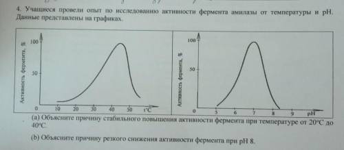 Объясните Объясните причину стабильного повышения активности фермента при температуре от 20 градусов
