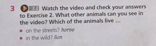 Ex:3 p.18 Watch the video. Which of the animals do you find on the streets of India?What other anima