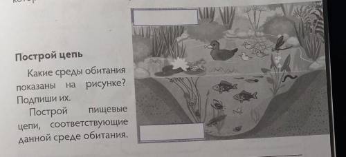 Какие среды обитания показаны на рисунке?Подпиши их.Построй Пищевыецепи, соответствующиеданной среде