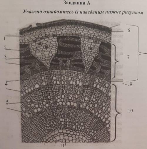 Нужно понять, что изображено на картинке