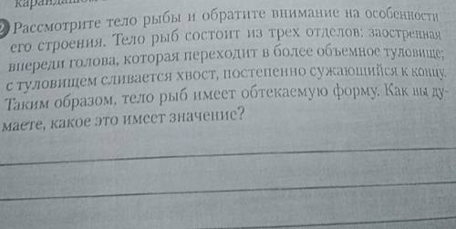 Рассмотрите тело рыбы на обратите внимание на особенности его строения. Тело рыб состоит из трех отд