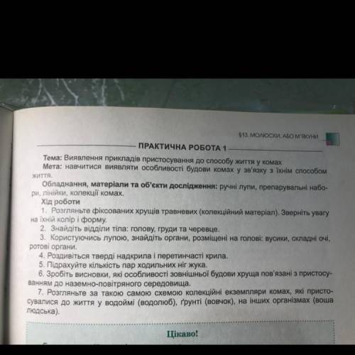 Описати за питанями -хрущ травневий -коник зелений -медоносна бджола -орхідейний богомол