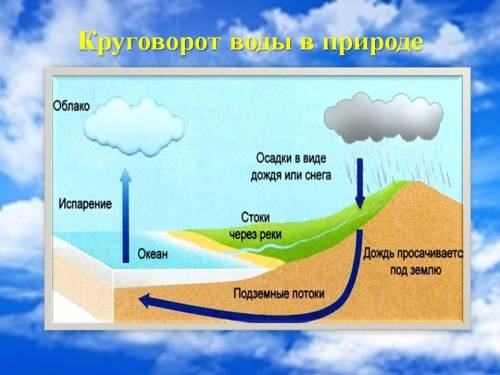 Сопоставь процессы с номерами в круговороте воды в природе.