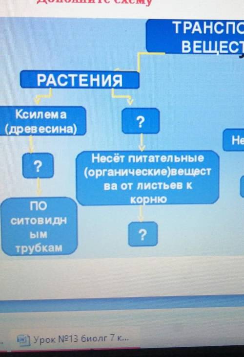 Дополните схему ТРАНСПОРТВЕЩЕСТВРАСТЕНИЯЖИВОТНЫ?Ксилема(древесина)2Незамкнутая?Несет питательные(орг