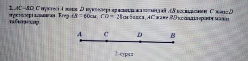 Паситеее сор по геометрии​