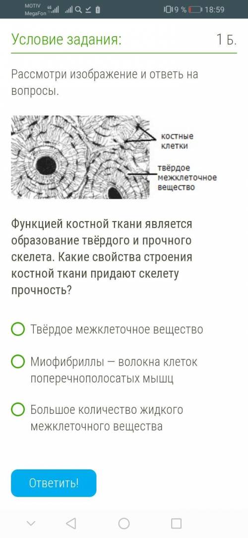 Рассмотри изображение и ответь на вопросы. Функцией костной ткани является образование твёрдого и п