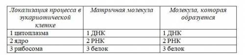 Отличие нуклеотидов ДНК от нуклеотидов РНК состоит в отсутствии дезоксирибозы и урацила.отсутствии ф